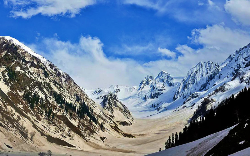 ThajiwasGlacier,Jammu&KashmirIMG.jpg
